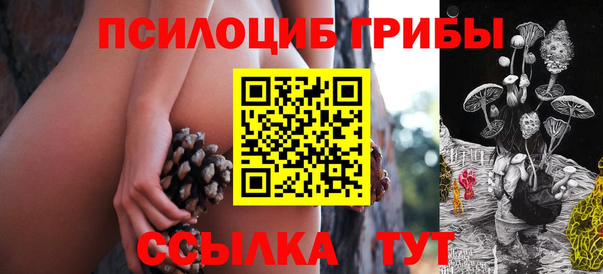 Галлюциногенные грибы Psilocybine cubensis Сыктывкар