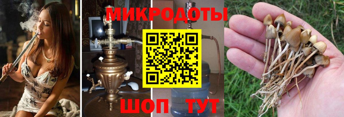 купить наркотики сайты  Псилоцибиновые грибы ЛСД  Вход с VPN  Сыктывкар 